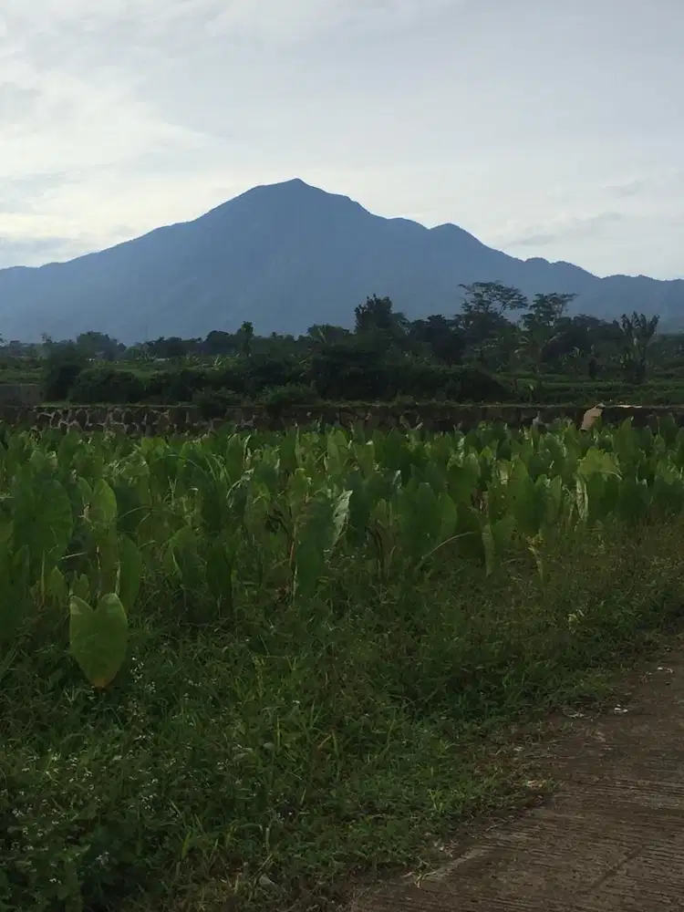 Jual Kavling Vila Exclusive Bogor View Keren Gunung Salak