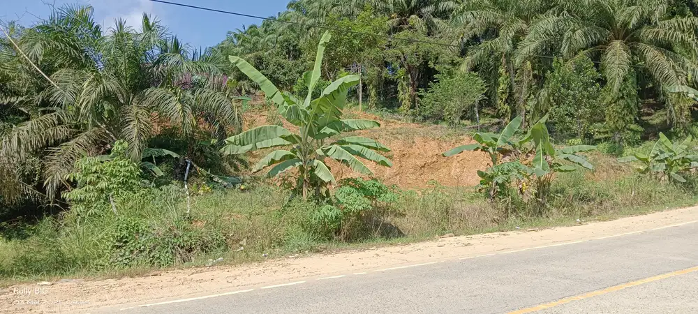Bismillah tanah IKN 1 Ha Termurah SHM