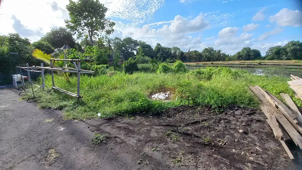 Tanah Kedungu Dekat ke Nyanyi Full View Sawah