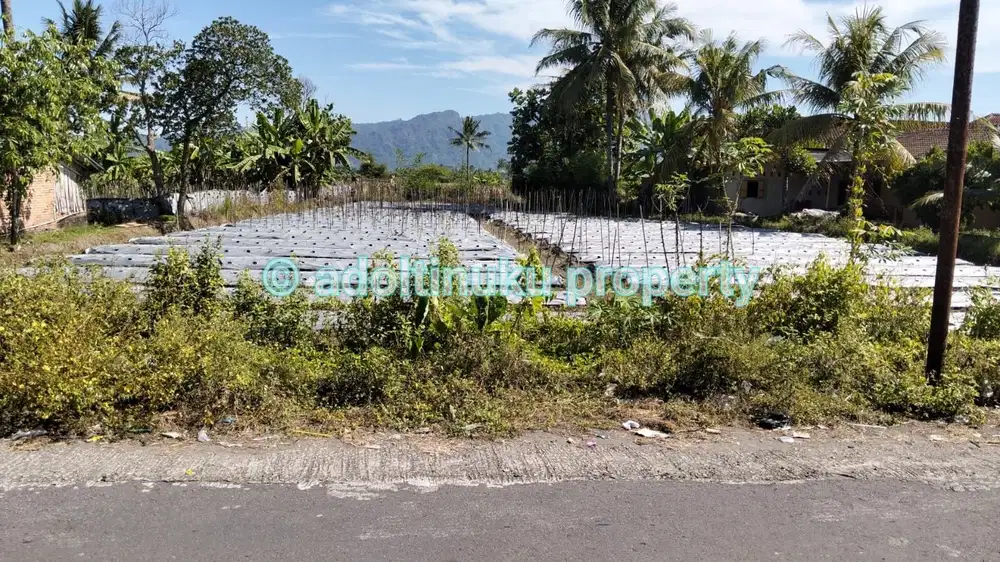 Tanah murah 1090 m² lebar muka 15 m di rambeanak, mungkid, magelang