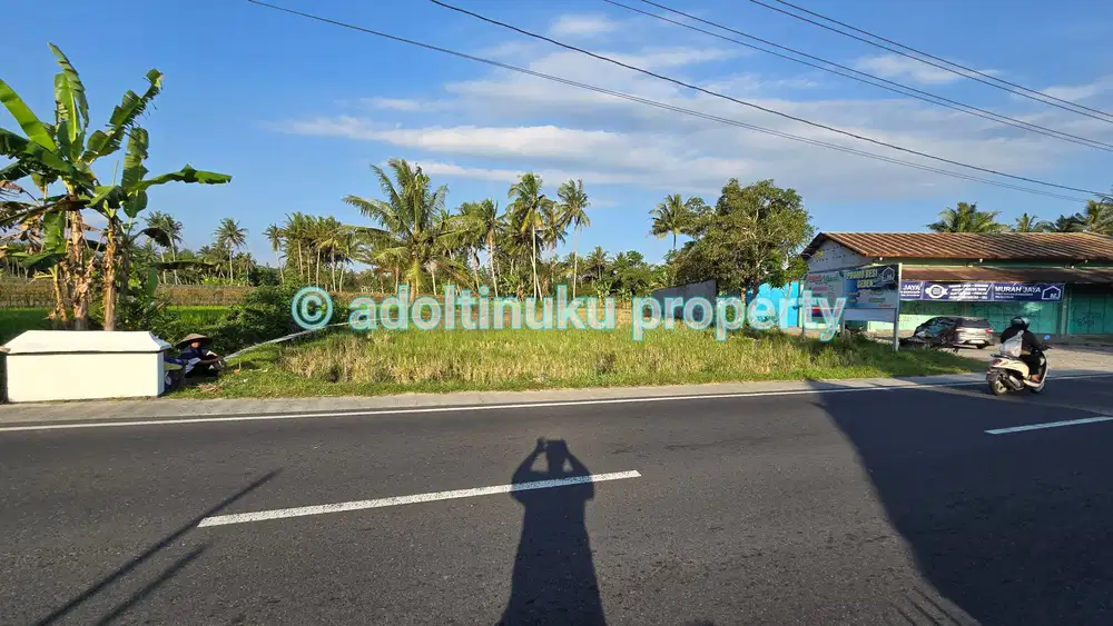 Tanah murah, tepi jalan provinsi, jalur NYIA dekat borobudur magelang