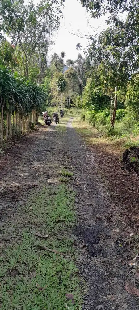 Dijual lahan 491 meter udara dingin