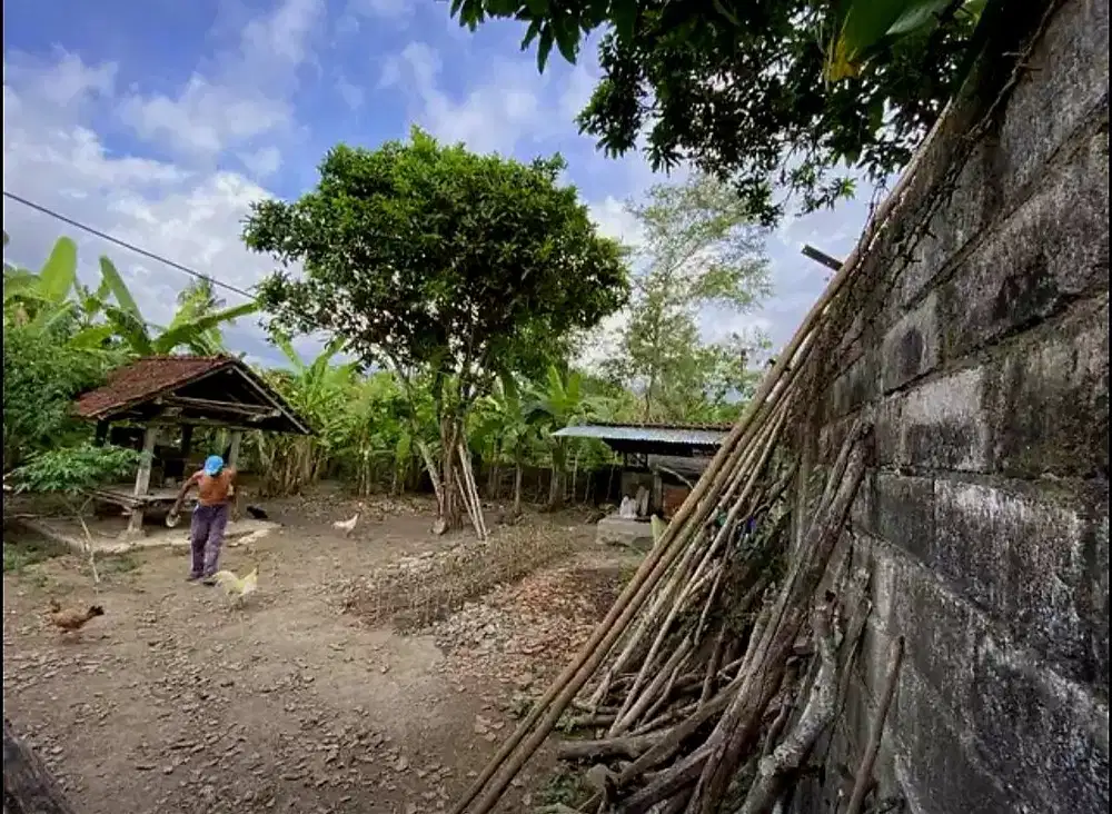 TANAH PINGGIR JALAN UTAMA NEGARA TEGAL BADENG BARAT