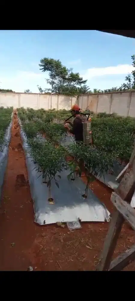 Dijual tanah di cigudeg bogor