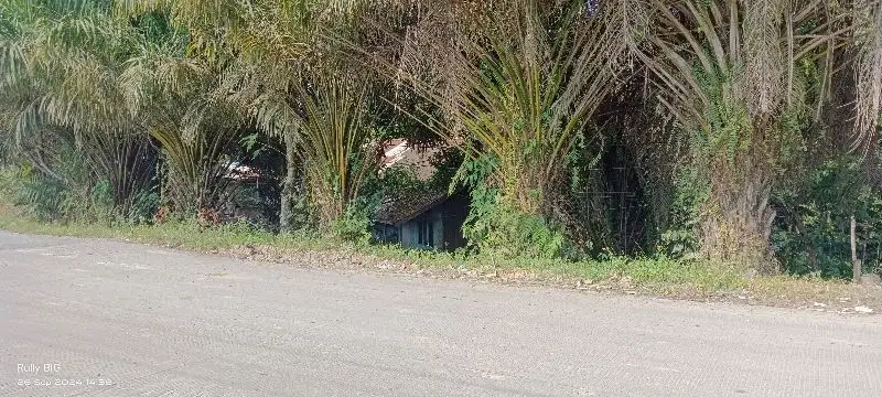 Bismillah Tanah dijual 1.5 Ha SHM Area Industri Kariangau km 5