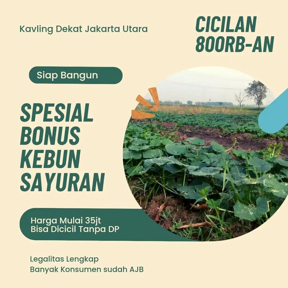 Tanah Murah Cicilan Di bawah 1Juta per bulan Bisa Terima SHM