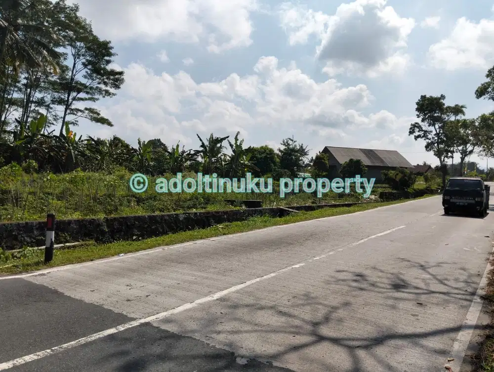 Tanah lebar muka 60 m, tepi jalan provinsi, sawangan, magelang