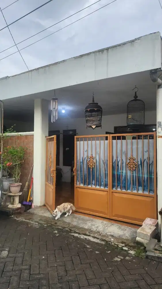 ‼️ Kompleks Taman Pondok Indah Wiyung Murah Strategis Dekat Akses ToL Gunungsari ‼️