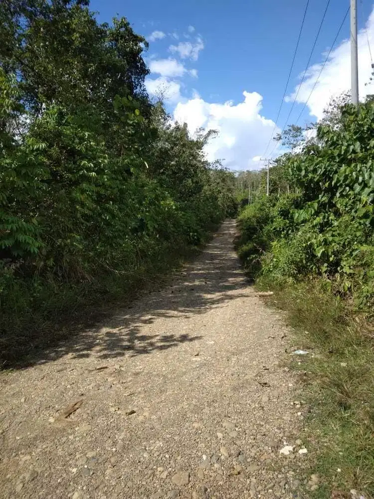 Tanah 40Ha Kaltim 104km ke IKN Desa Long Sayo Kab Passer