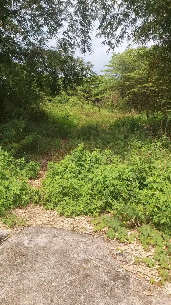 Jual tanah strategis 6.300 m² di Talun, Cirebon