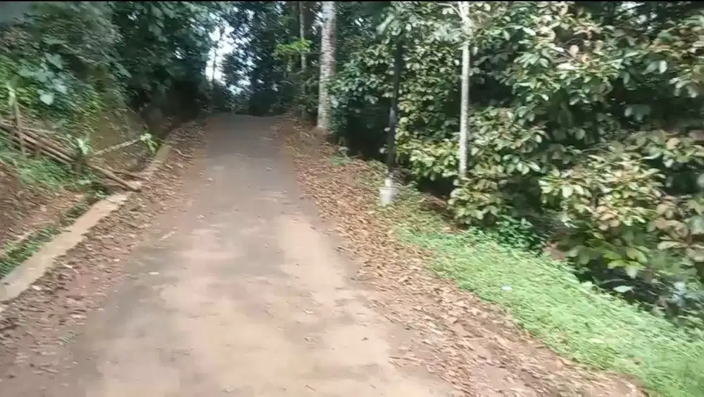 Dijual kebun murah 4860 m2 isi Durian &amp; manggis