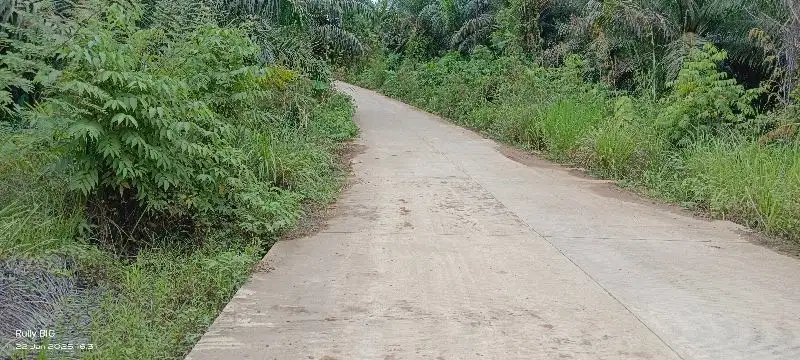 Bismillah dijual Tanah dekat IKN 2.3 SHM bisa Balik Nama