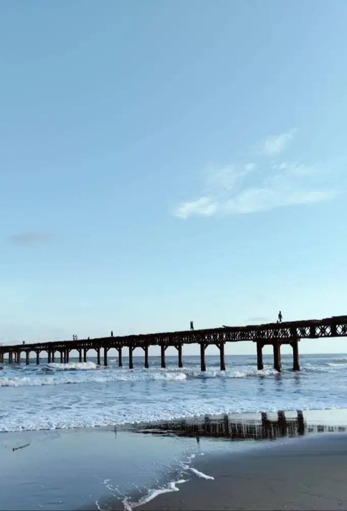 Cari pekerjaan sebagai supir pribadi