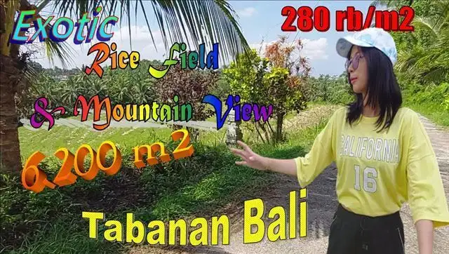 Potensial, 62 are di SELEMADEG TIMUR TABANAN, Akses Pinggir Jalan