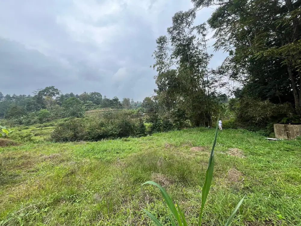 Tanah murah shm dijual di megamendung area villa