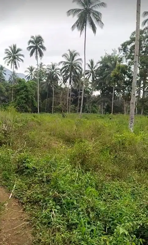 Dijual Tanah di Bitung luas 9.8 Hektar