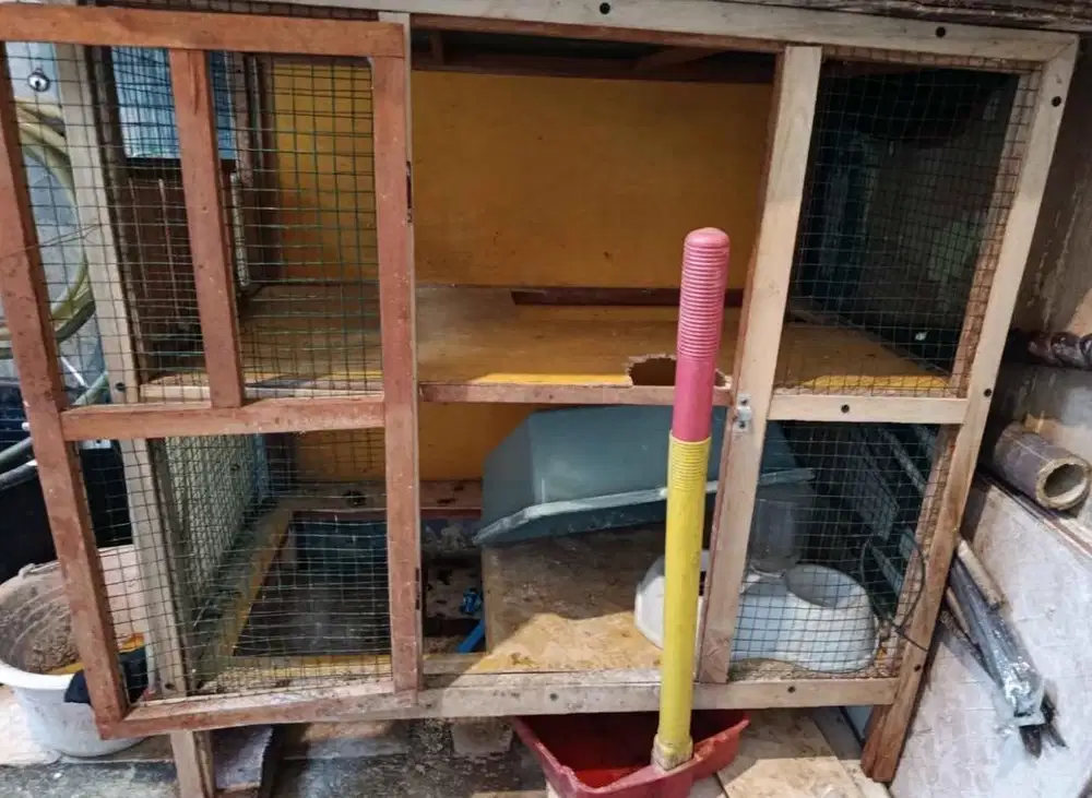 Kandang kucing 2 tingkat ukuran 80cm