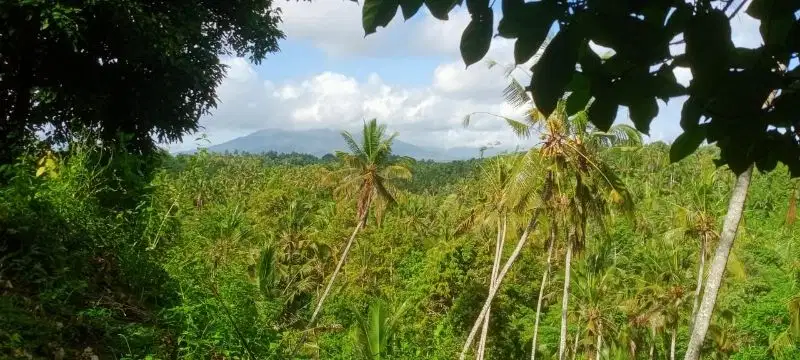 tanah kebun murah dengan view lembah dan los sungai di bali