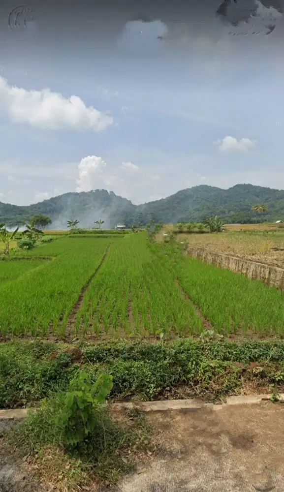 Jual tanah garawangi