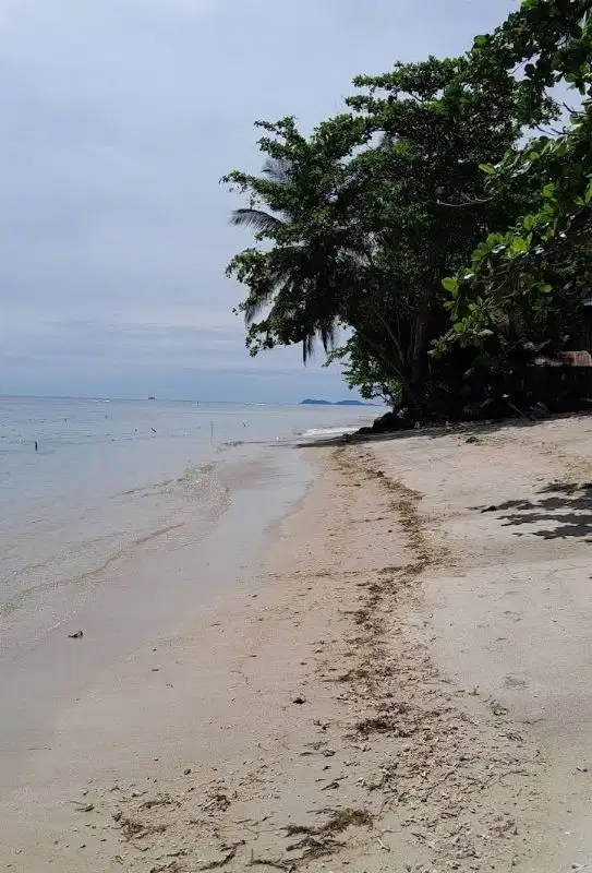 Tanah Pantai 60 Hektar di Manado