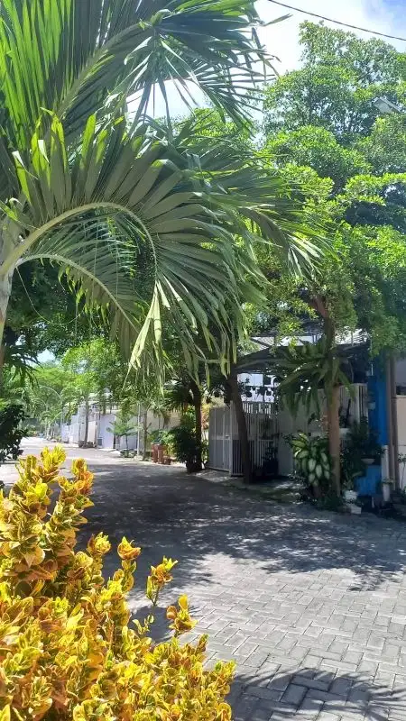 Rumah siap huni harga banting