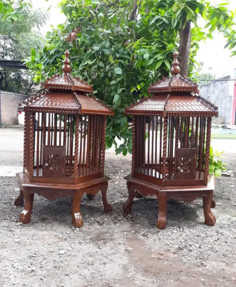 Kandang ayam bekisar serama Bangkok dan sangkar burung  hias beo