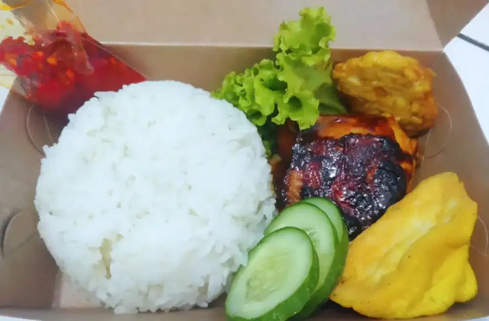 Aneka nasi kotak di bandar Lampung praktis ekonomis