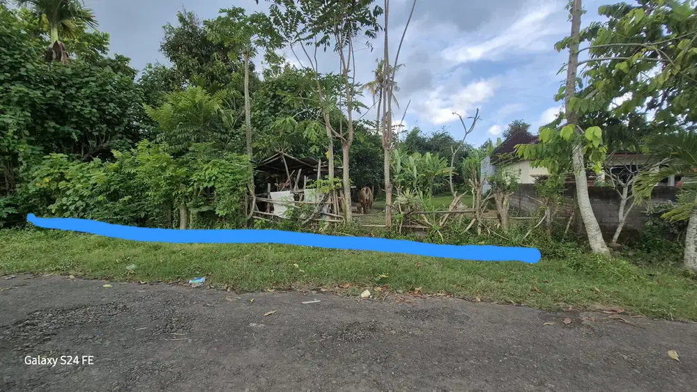 Tanah 927m2 Los sungai besar di Lelateng Jembrana