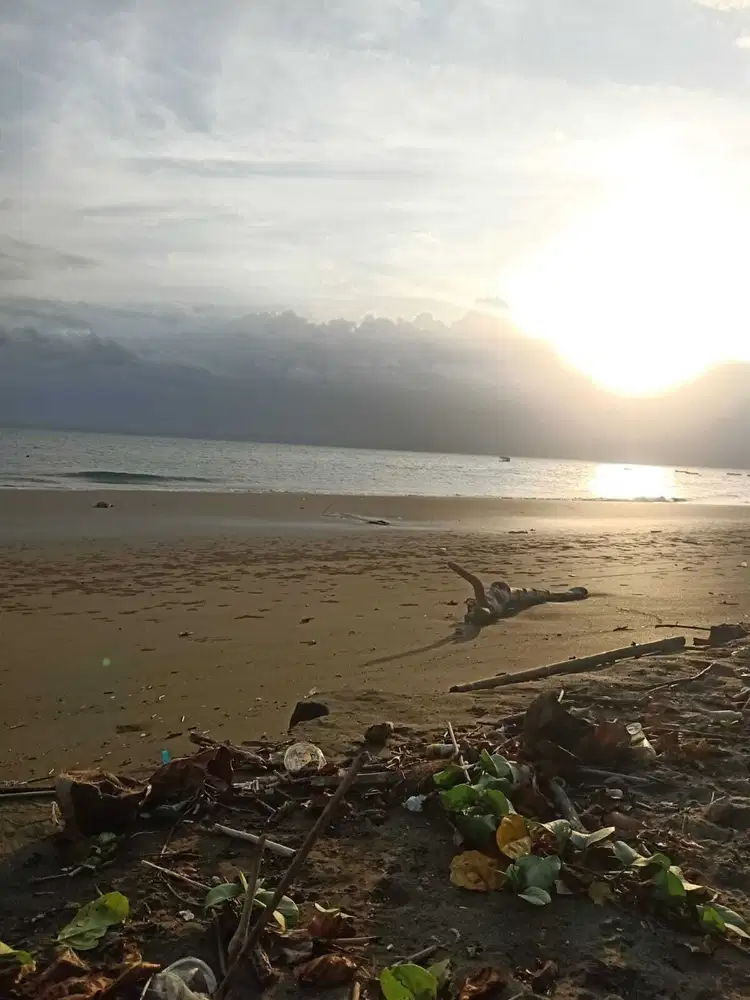 TANAH LOS PANTAI EXOTIC 1 HEKTAR DI MELAYA  JEMBRANA BALI