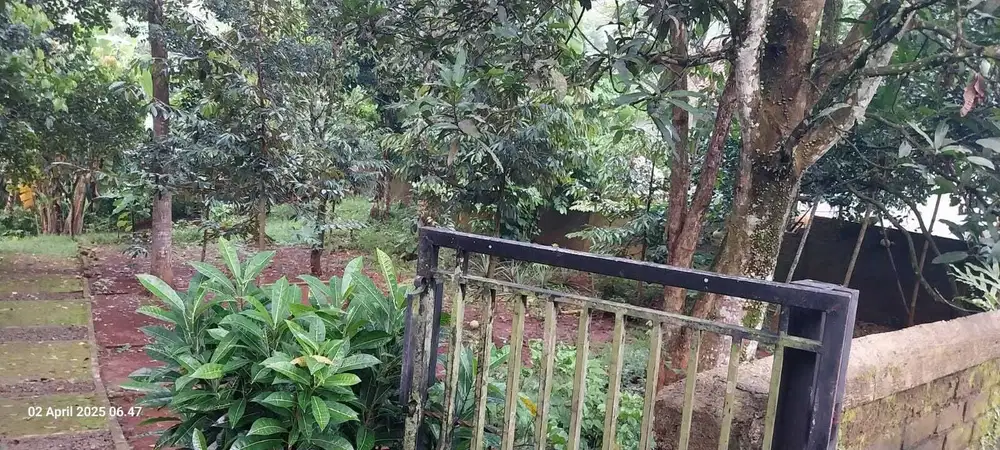 Dijual rumah halaman luas Ds Sela Awi Purwakarta