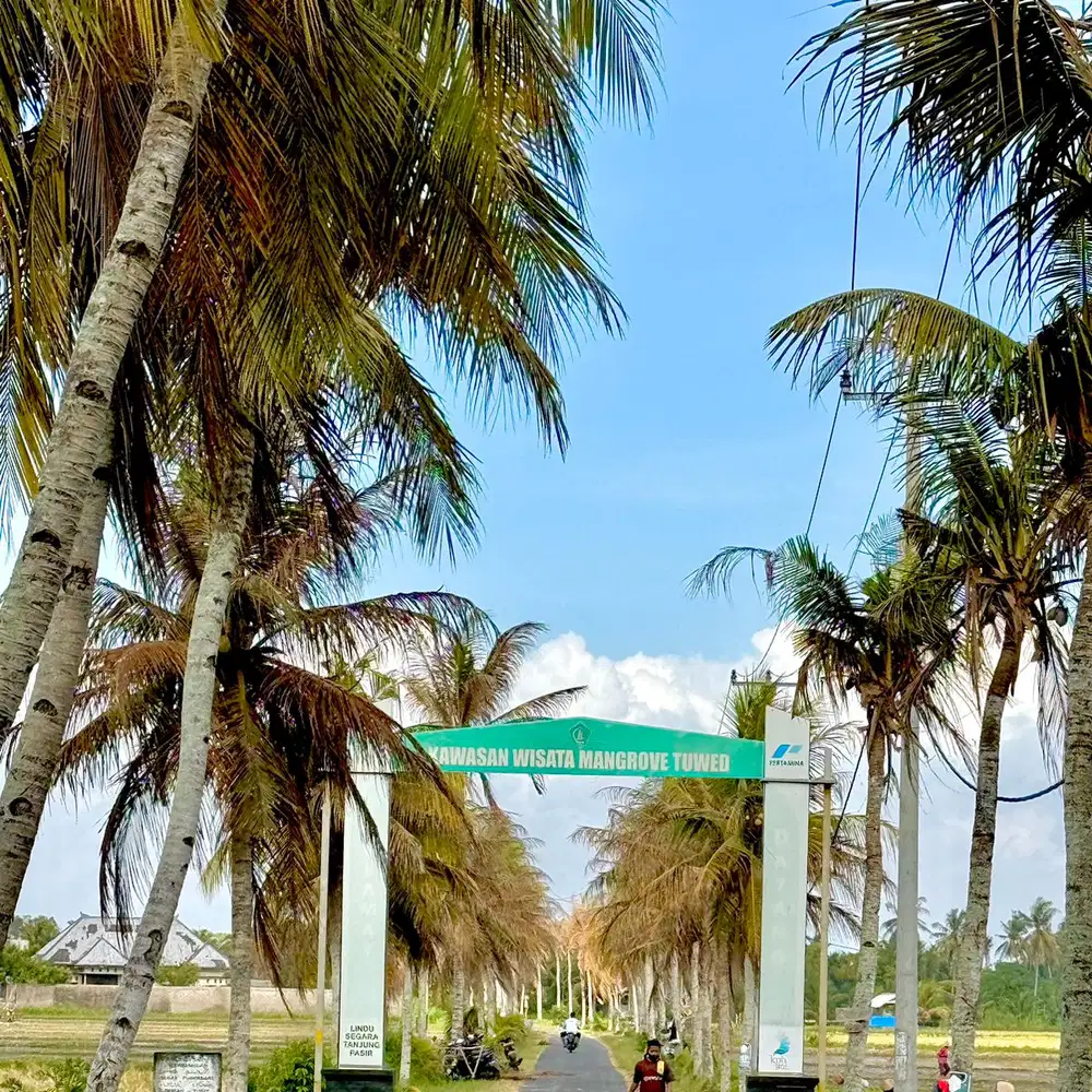 Dijual tanah di jalur Denpasar - Gilimanuk