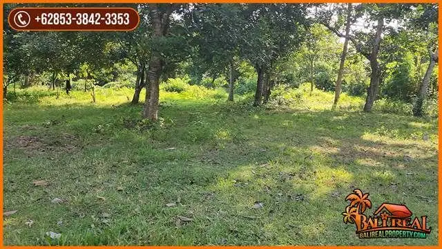 Potensial, Lahan Pinggir Jalan 195,5 are di Jembrana