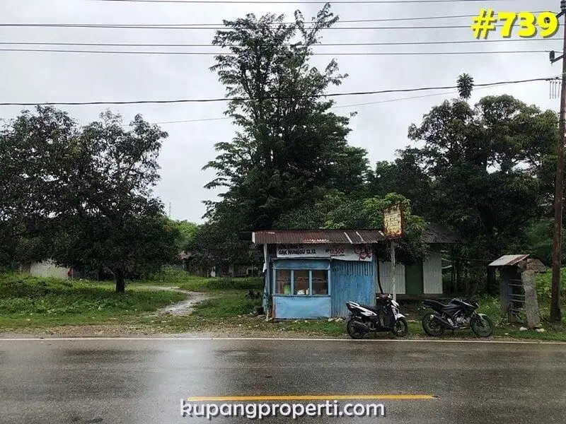 739 Tanah di Lelang di Jln. R. Soeprapto Belu NTT