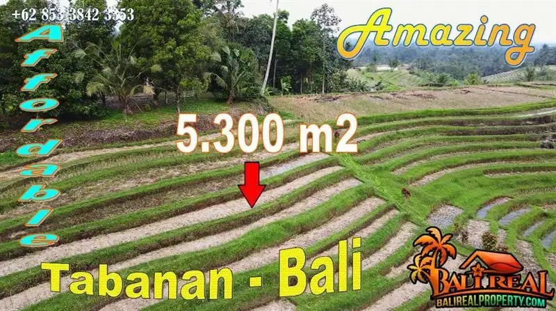 5,300 m2 Land Sale only 7 Minute from Penatahan Hot Spring Water