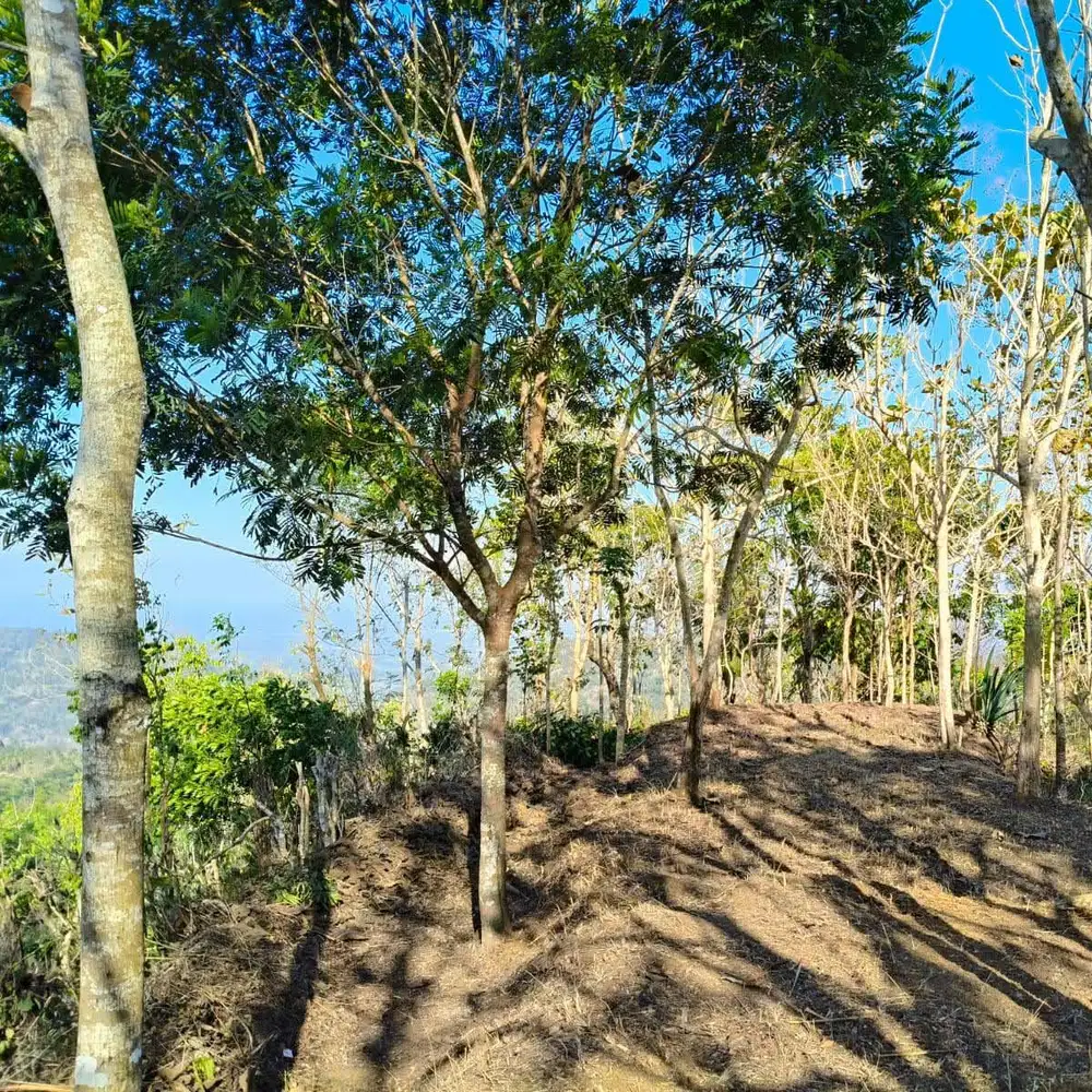 JUAL MURAH PEKARANGAN PINGGIR SUNGAI CANTIK ADA MATA AIRNYA