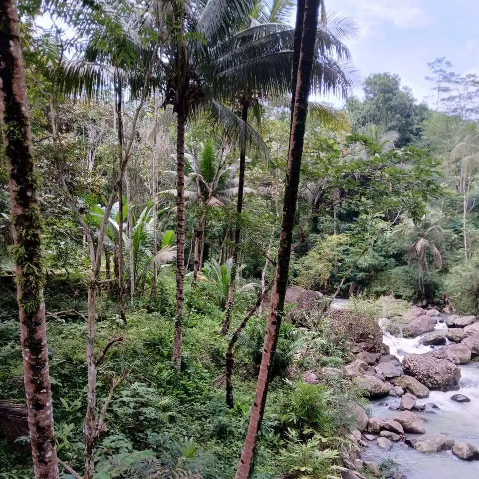 DIJUAL TANAH SHM CANTIK PINGGIR SUNGAI