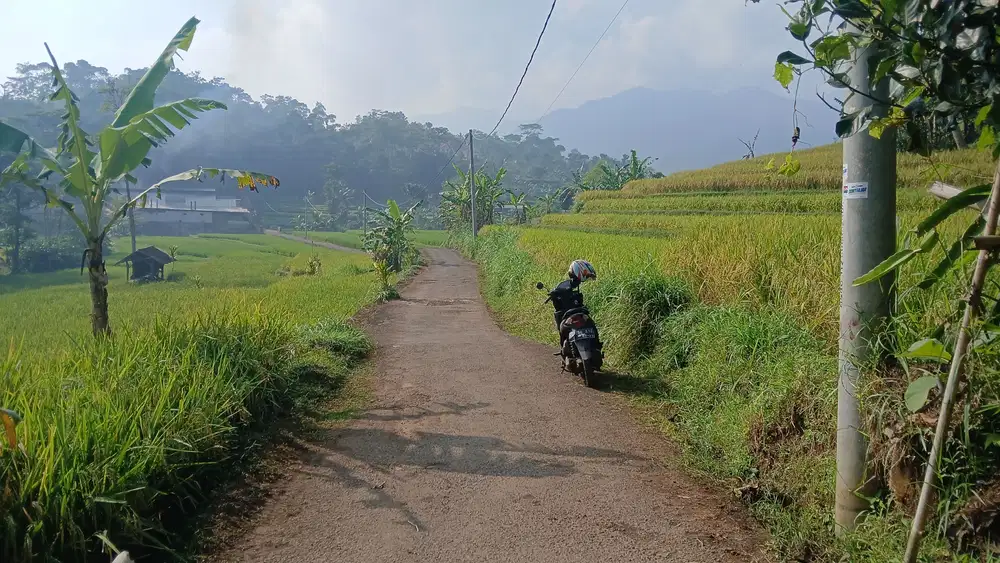 Tanah Sawah Subur Sumber Air Bagus