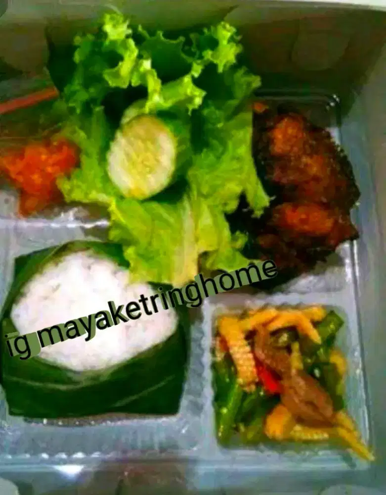 Aneka nasi kotak di bandar Lampung praktis ekonomis