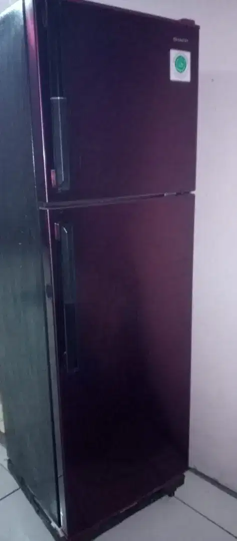 Kulkas Sharp 2 Pintu