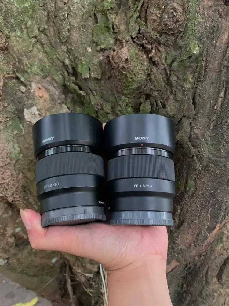 Lensa sony FE 50mm f1.8 boks
