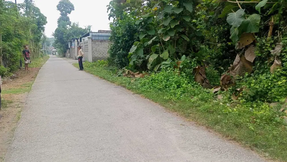 BU Dijual Tanah Pekarangan cocok untuk perumahan di Jimbe Blitar