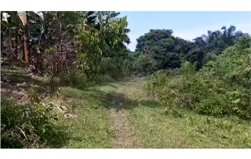 Dijual TANAH di Desa Tiku Utara, Kec. Tanjung Mutiara, Agam, Sumbar