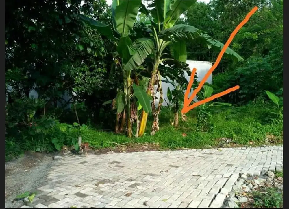 Turun harga. Kaveling dekat KOTA PODOMORO TENJO, akses mobil