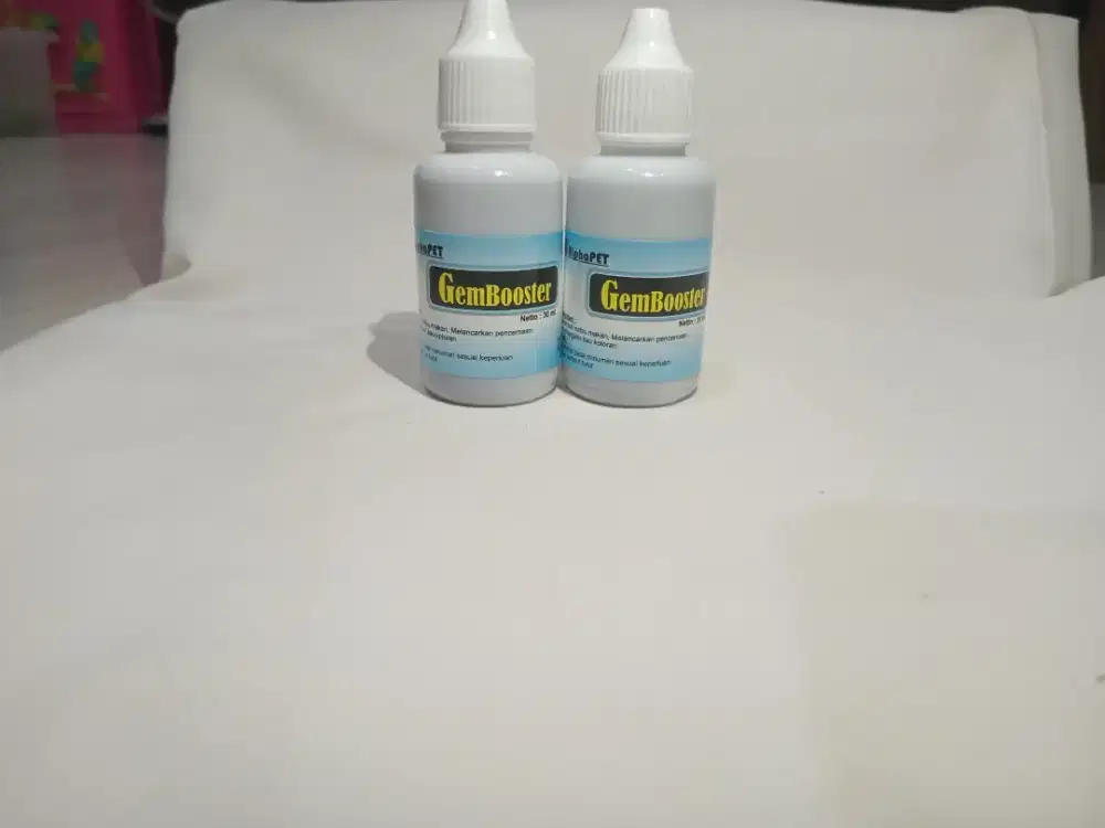 Obat mogok makan hewan