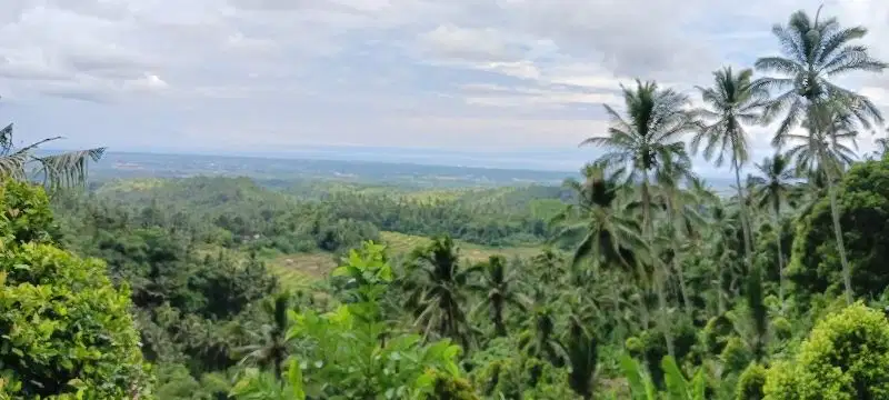 Tanah Kebun dengan view super bagus