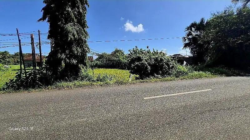 TANAH 1000M2 PINGGIR JALAN UTAMA DI PENGAMBENGAN