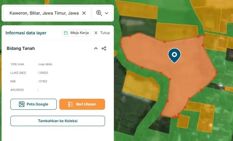 Di Jual tanah sawah 1 Ha , cocok di konsep wisata kuliner cuma 2 M