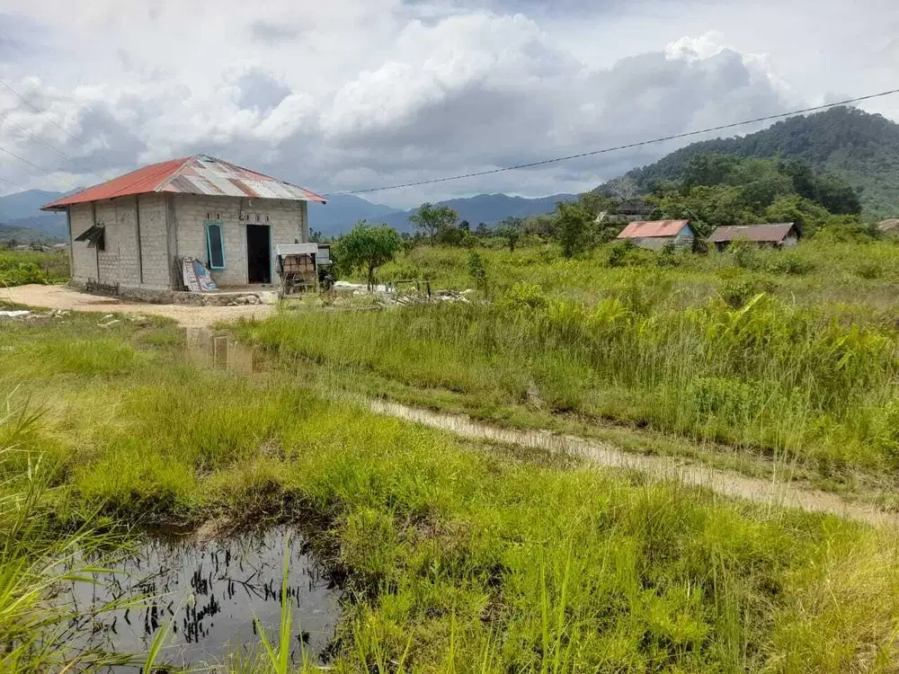 JUAL MURAH TANAH DI KELURAHAN BUDI LUHUR PANDAN TAPANULI TENGAH