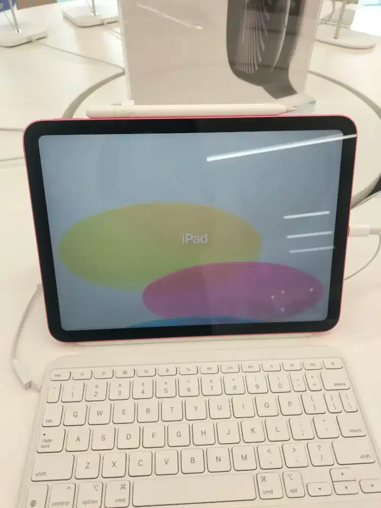 iPad A16 256GB ( wifi+cellular)