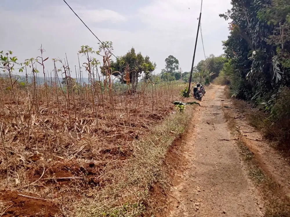 Tanah Darat  .Sangat Subur tuk  segala Jenis Tanaman